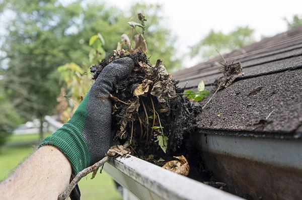 gutter cleaning is still necessary to remove other debris that can accumulate in gutters